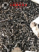 2J10精密合金的切削加工与磨削性能