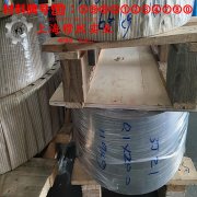  GH3030镍铬基高温合金的断裂性能、持久和蠕变性能