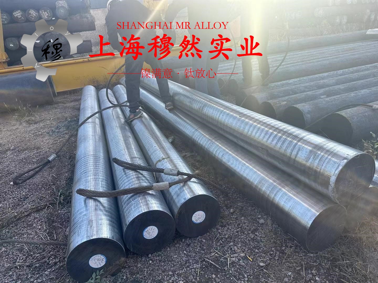 TA2变形纯钛冶标