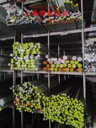 DZ22定向凝固镍基高温合金的热导率概括