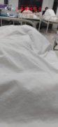 GH99镍铬基高温合金法兰、弯头