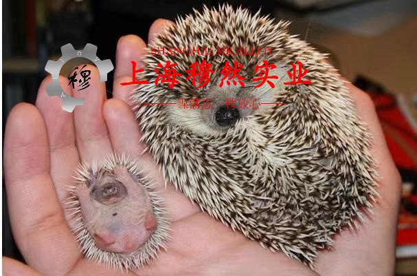 1J79磁性合金辽新标的拉伸性能