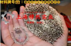  Co50V2精密合金无缝管、法兰的切变模量