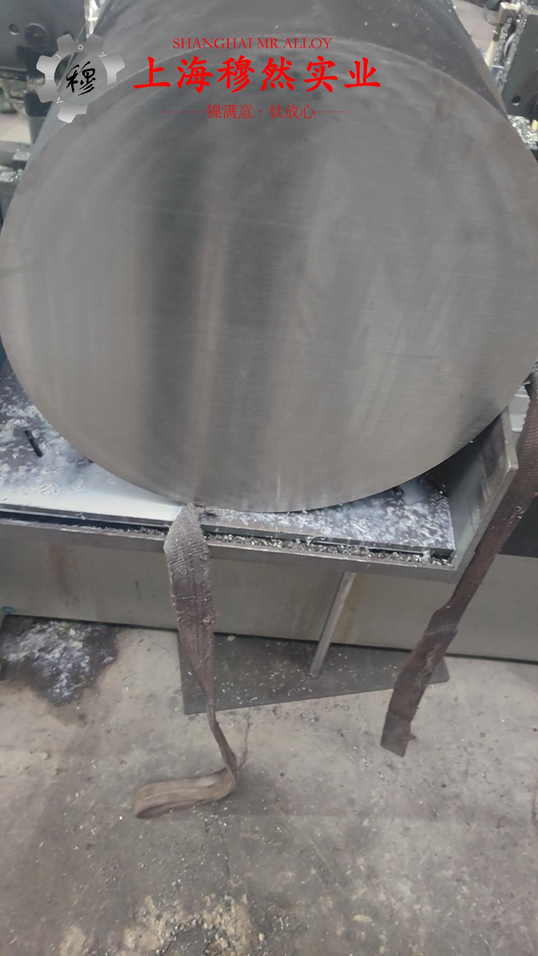 TA2工业纯钛的高温持久性能与高温合金标准