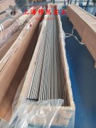  CuNi19应变电阻合金的硫化环境与热处理