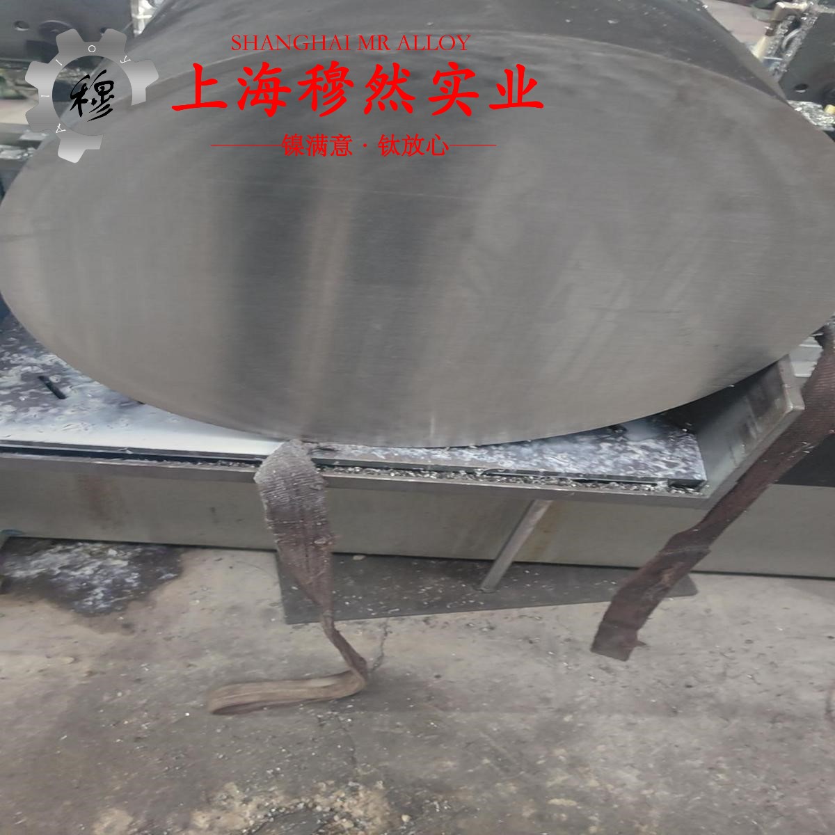 6J12锰铜合金/高电阻合金的热性能与抗氧化性能