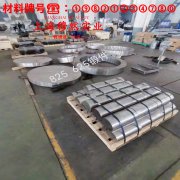 Cr19Ni4Siv碳化物强化型合金什么材质?